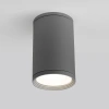 Уличный потолочный светильник Light IP65 Elektrostandard 35128/H серый