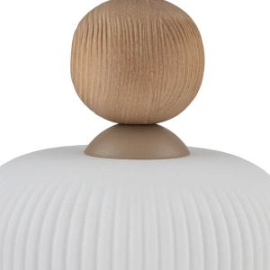 Подвесной светильник со стеклянным плафоном TK Lighting 11049 Ballo