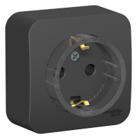 BLNRA111116 Systeme Electric Schneider Blanca накладной монтаж цвет антрацит