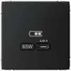 Высокоскоростная розетка USB тип-С Systeme Electric ArtGallery карбон GAL001027