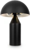 Настольная лампа Freya Eleon FR5218TL-02B1