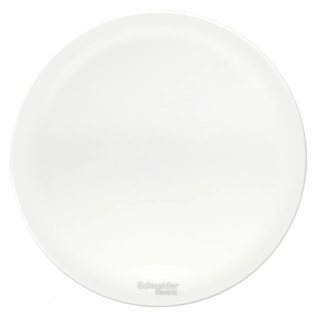 BLNZA000011 Systeme Electric Schneider Blanca накладной монтаж цвет белый