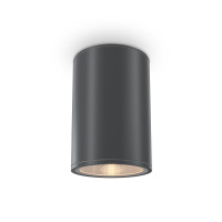 Уличный потолочный светодиодный светильник Maytoni Bar O306CL-L12GF