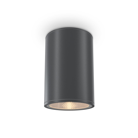 Уличный потолочный светодиодный светильник Maytoni Bar O306CL-L12GF