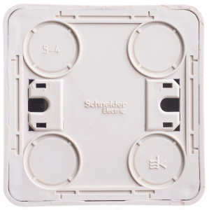 BA10-006D Systeme Electric Schneider Etude цвет сосна