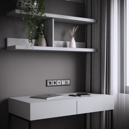 W1181065 Werkel Werkel механизмы серебряные матовый