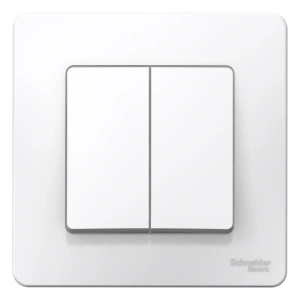 BLNVS010501 Systeme Electric Schneider Blanca цвет белый