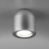 Накладной потолочный светильник Elektrostandard DLN116 GU10