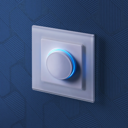 W0011101 Werkel Werkel рамки Favorit (стекло)