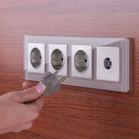 W1183006 Werkel Werkel механизмы серебряные