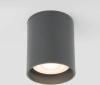 Уличный потолочный светильник Light LED 2104 IP54 Elektrostandard 35130/H серый