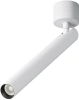 Потолочный светильник светодиодный Maytoni Focus T C141CL-L300-6W4K-W