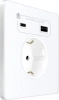 Розетка С/У с ЗК и зар.устр.USB А+С 20Вт (250В, 16А, защ.шторки), Арктический лед Systeme Electric Infinity (FSE000132)