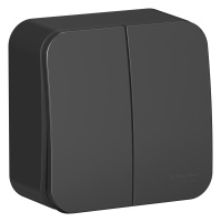 BLNVA105016 Systeme Electric Schneider Blanca накладной монтаж цвет антрацит