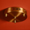 Потолочное основание для светильника Freya Cave FR5631A-03BS