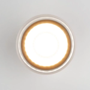 Уличный потолочный светильник Light LED 2107 IP54 Elektrostandard 35140/H серый