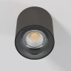 Светильник потолочный светодиодный Primo 12W 4000K титан Elektrostandard 25116/LED