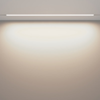 Трековый светильник светодиодный Maytoni Exility Basis TR030-2-30W4K-W