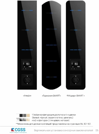 UNION-L2ZBP CGSS Механизмы CGSS