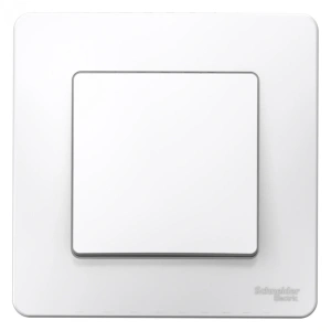 BLNVS010101 Systeme Electric Schneider Blanca цвет белый