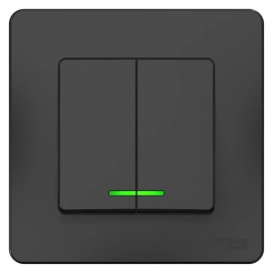 BLNVS010516 Systeme Electric Schneider Blanca цвет антрацит