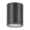 Уличный потолочный светодиодный светильник Maytoni Bar O306CL-L12GF