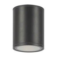 Уличный потолочный светодиодный светильник Maytoni Bar O306CL-L12GF