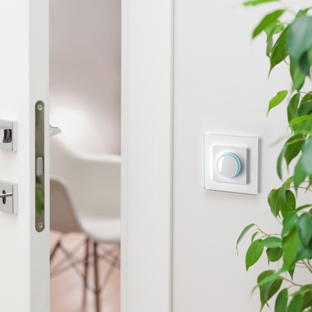 W0011101 Werkel Werkel рамки Favorit (стекло)