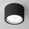 Уличный потолочный светильник Light 26231 IP54 Elektrostandard 35144/H черный
