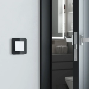 W0012448 Werkel Werkel рамки Elite