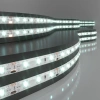 Светодиодная лента 12 В 4,8 Вт/м 60 Led/м 2835 IP65, холодный белый 6500К, 5 м Elektrostandard Лента светодиодная 12V 4,8W 60Led 2835 IP65 холодный белый, 5м