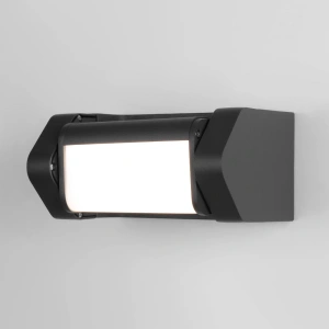 Уличный настенный поворотный светильник DORS Elektrostandard 35163/D черный
