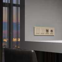 W4512011 Werkel Werkel механизмы сенсорные шампань