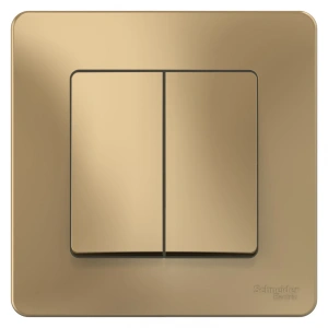 BLNVS010504 Systeme Electric Schneider Blanca цвет титан