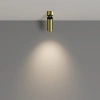 Спот светодиодный Maytoni FOCUS LED C055CL-L12W4K-W-BS