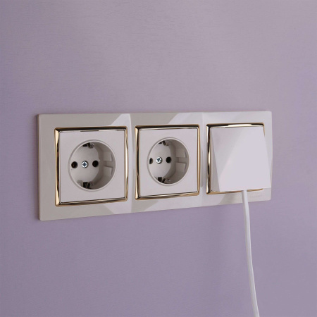 W1171303 Werkel Werkel механизмы бежевые