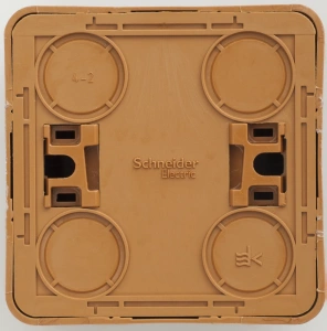 PA16-004T Systeme Electric Schneider Etude цвет бук