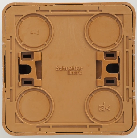 PA16-004T Systeme Electric Schneider Etude цвет бук