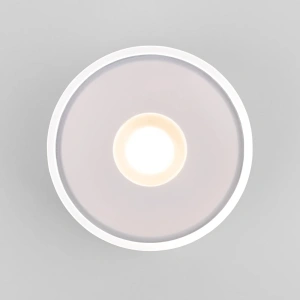 Уличный потолочный светильник Light LED 2135 IP65 Elektrostandard 35141/H белый