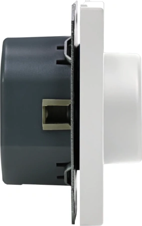 GAL001323 Systeme Electric Schneider Electric ArtGallery цвет лотос