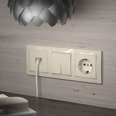 W1171303 Werkel Werkel механизмы бежевые