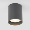 Уличный потолочный светильник Light LED 2104 IP54 Elektrostandard 35130/H серый