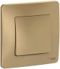 Одноклавишный выключатель скрытой установки 10А 250В Systeme Electric Blanca BLNVS010104, Титан
