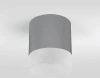 Уличный потолочный светильник Light LED 2107 IP54 Elektrostandard 35140/H серый