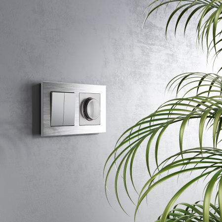 W1123008 Werkel Werkel механизмы серебряные