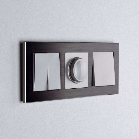 W0031708 Werkel Werkel рамки Aluminium