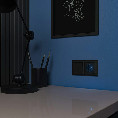 W1171408 Werkel Werkel механизмы черные матовые