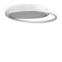 Светильник настенно-потолочный светодиодный Freya Lisoa Market FR10032CL-L98W