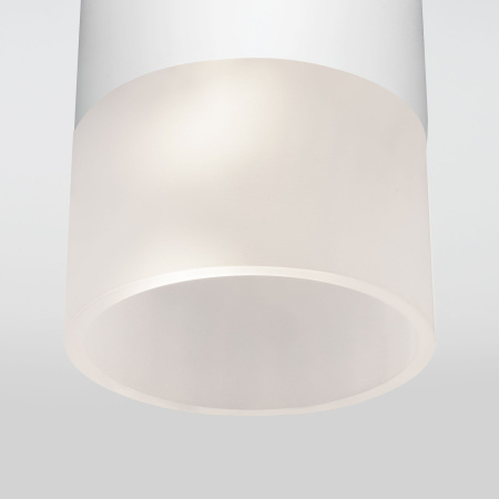 Уличный потолочный светильник Light LED 2106 IP54 Elektrostandard 35139/H белый