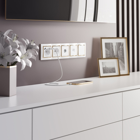 W1181001 Werkel Werkel механизмы белые